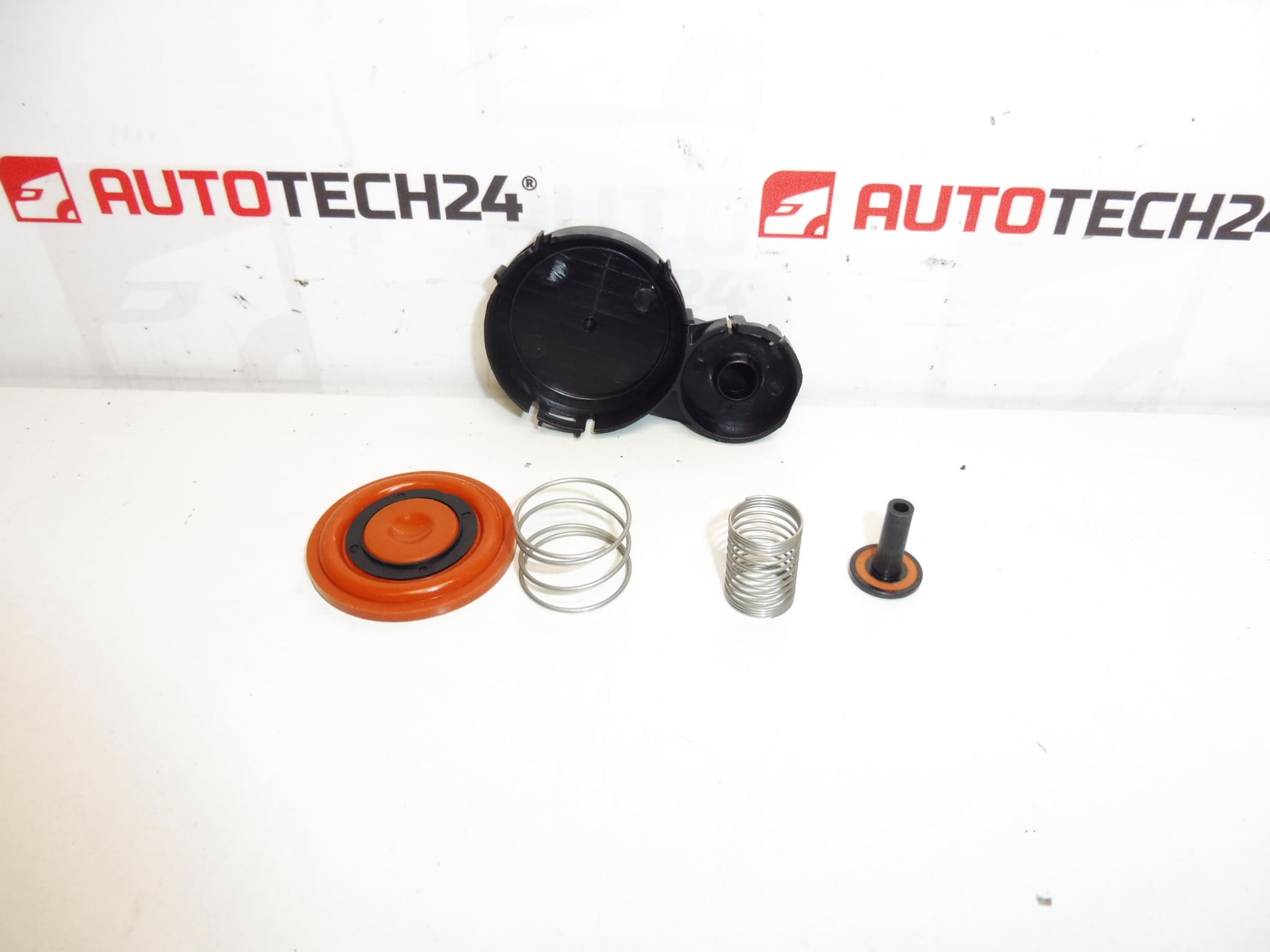 Ventilkåpa membransats 1.6 HDI 0248S0