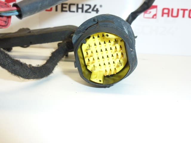 Insprutare Citroën Peugeot 1.4HDI 9649833780 9688063580 6558PS