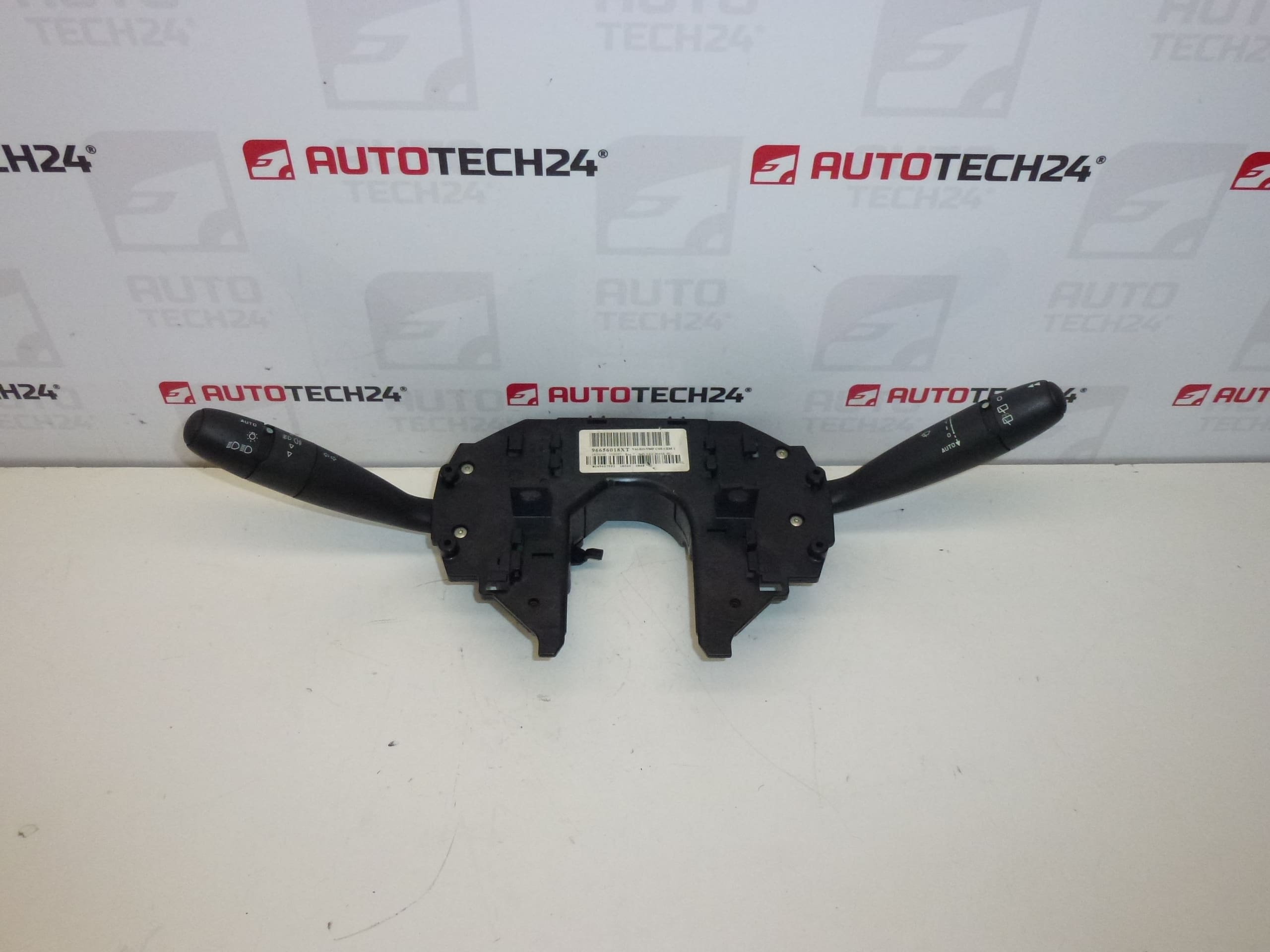 Drivrutiner för Citroën C4 96656018XT 624348