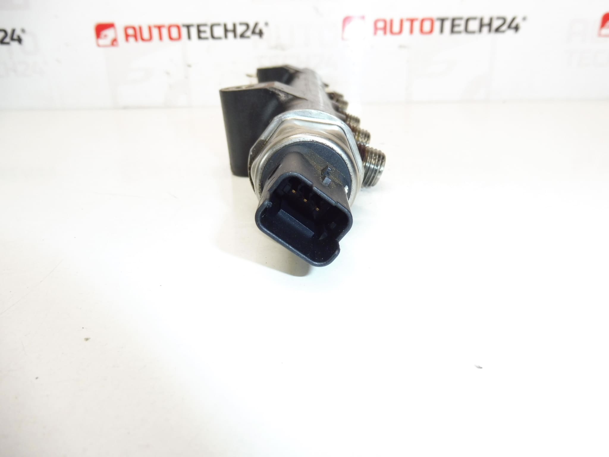 Räls RAIL Citroën Peugeot 9684753080 1570P7