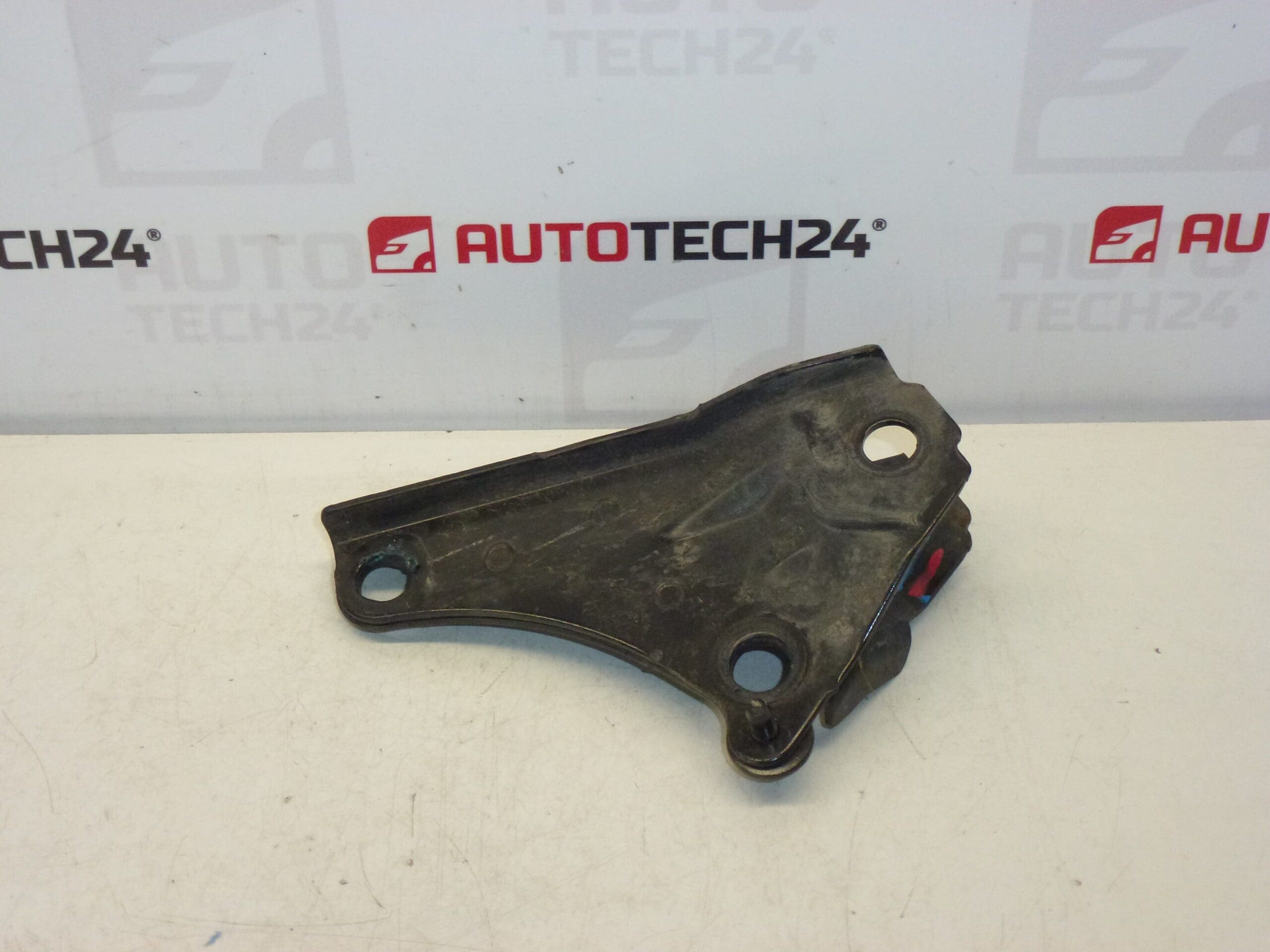 Citroën Peugeot Motorfäste 9653634080 180681