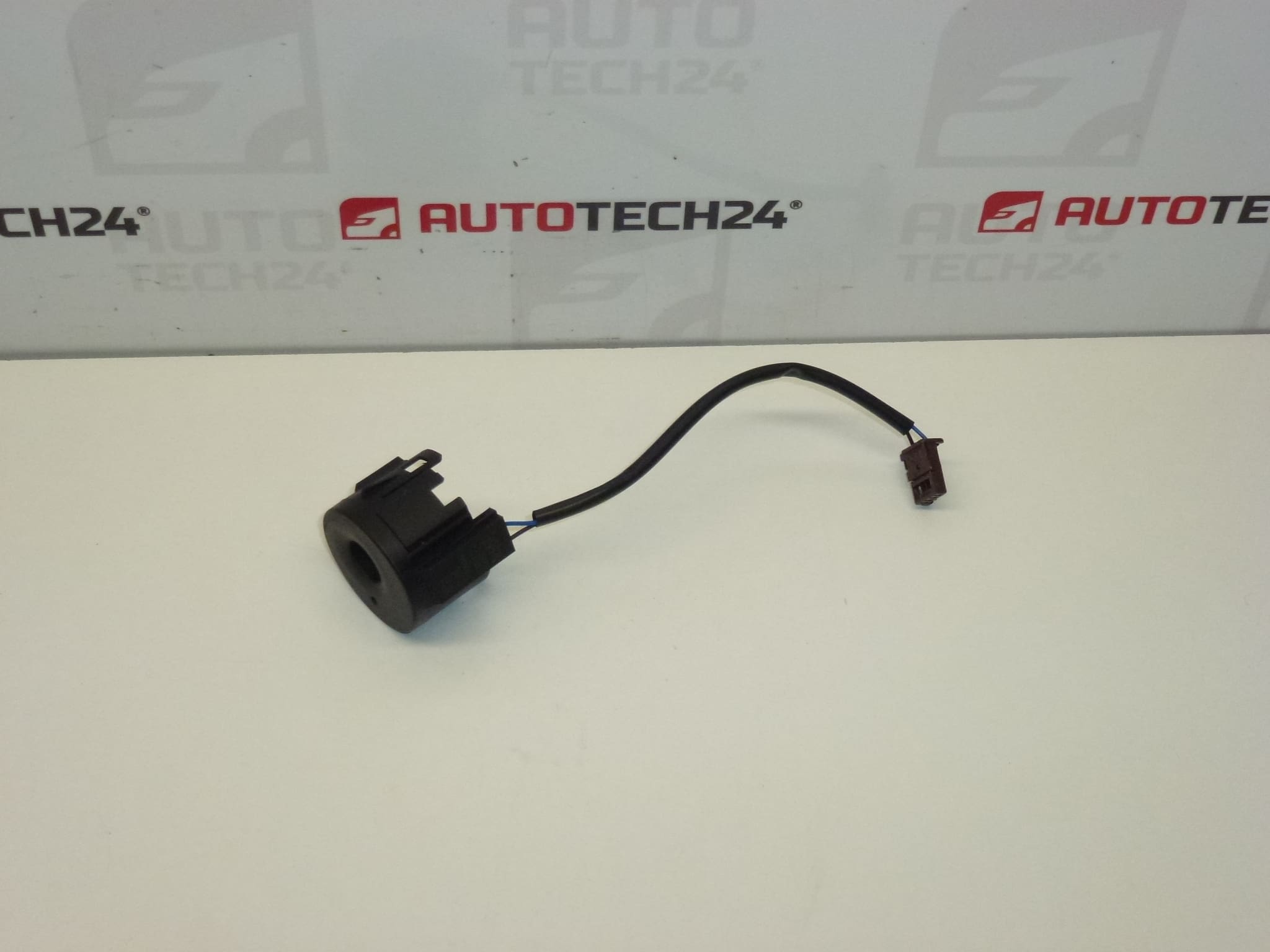 Transponderantenn immo 9663123380 6160C1