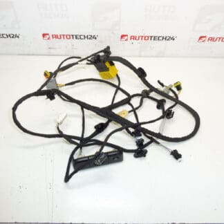 Citroen C4 Picasso Valeo 5243596 förarsäte