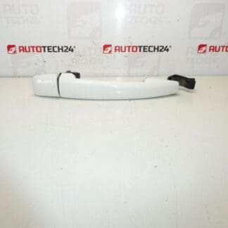 Citroën Peugeot EWBP 9101gh dörrhandtag