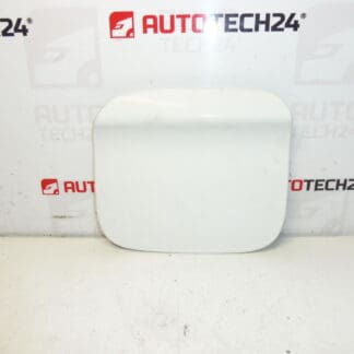 Peugeot 301 Citroen C-Elysée EWP 9677571480