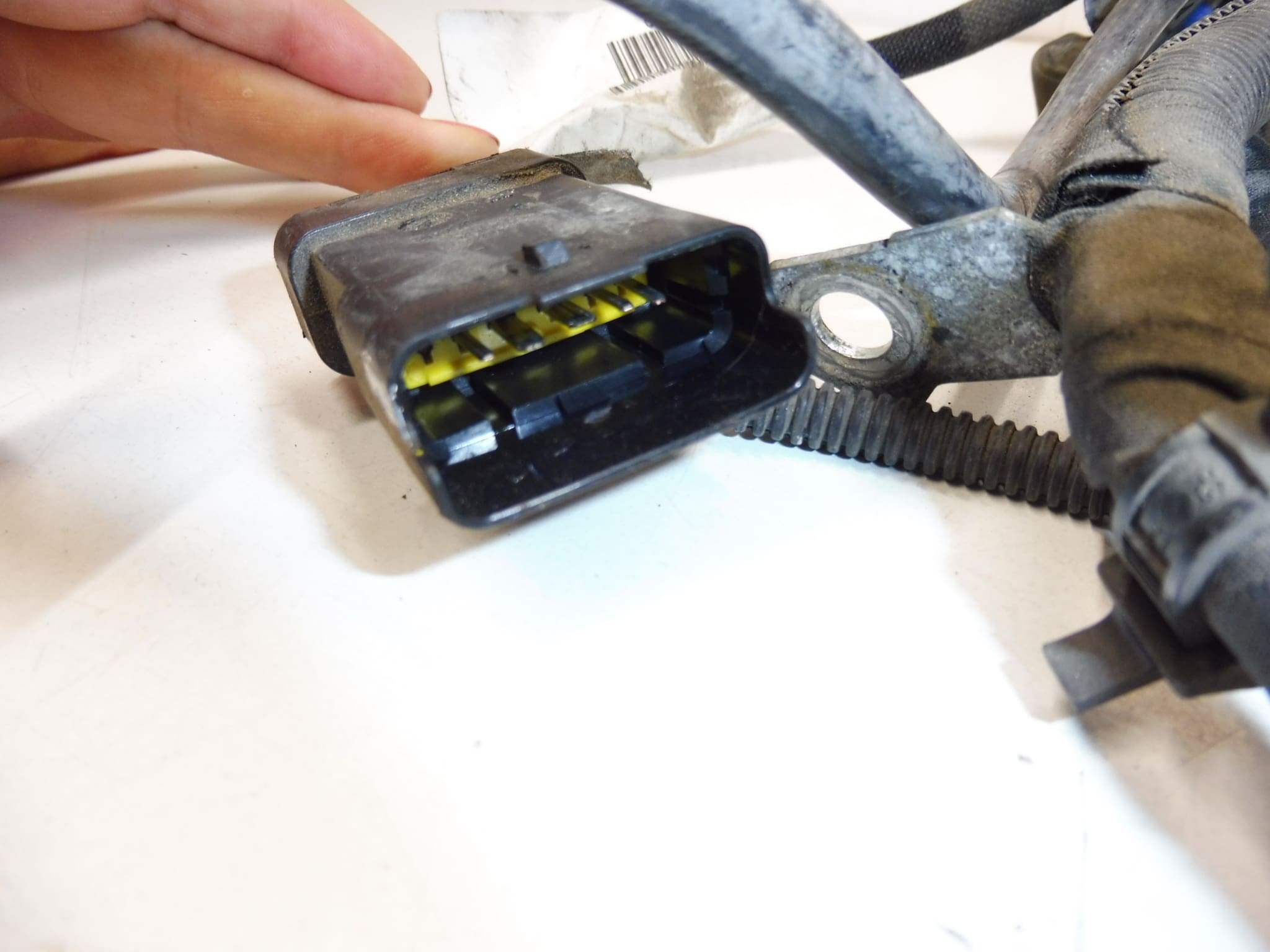 Pluskabel Citroën C-Elysée Peugeot 301 1.6 9676421380 9808241580 - Bild 2