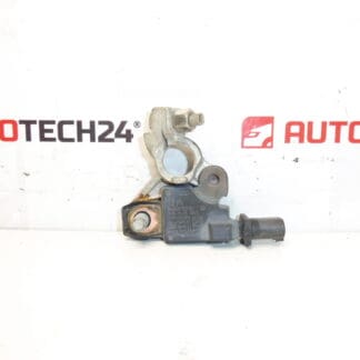 Citroën Peugeot 9666919780 Negativ polenhet