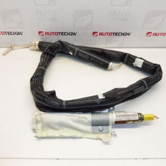 Vänster takairbag Peugeot 207 9650247880 8331W8
