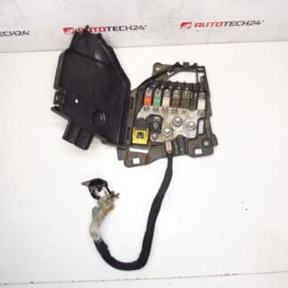 Citroën Peugeot 9801147680 66652X FUSE MODUL