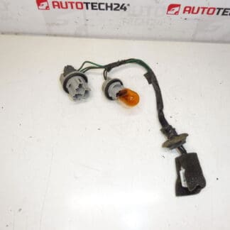 Lampkålning baklampan