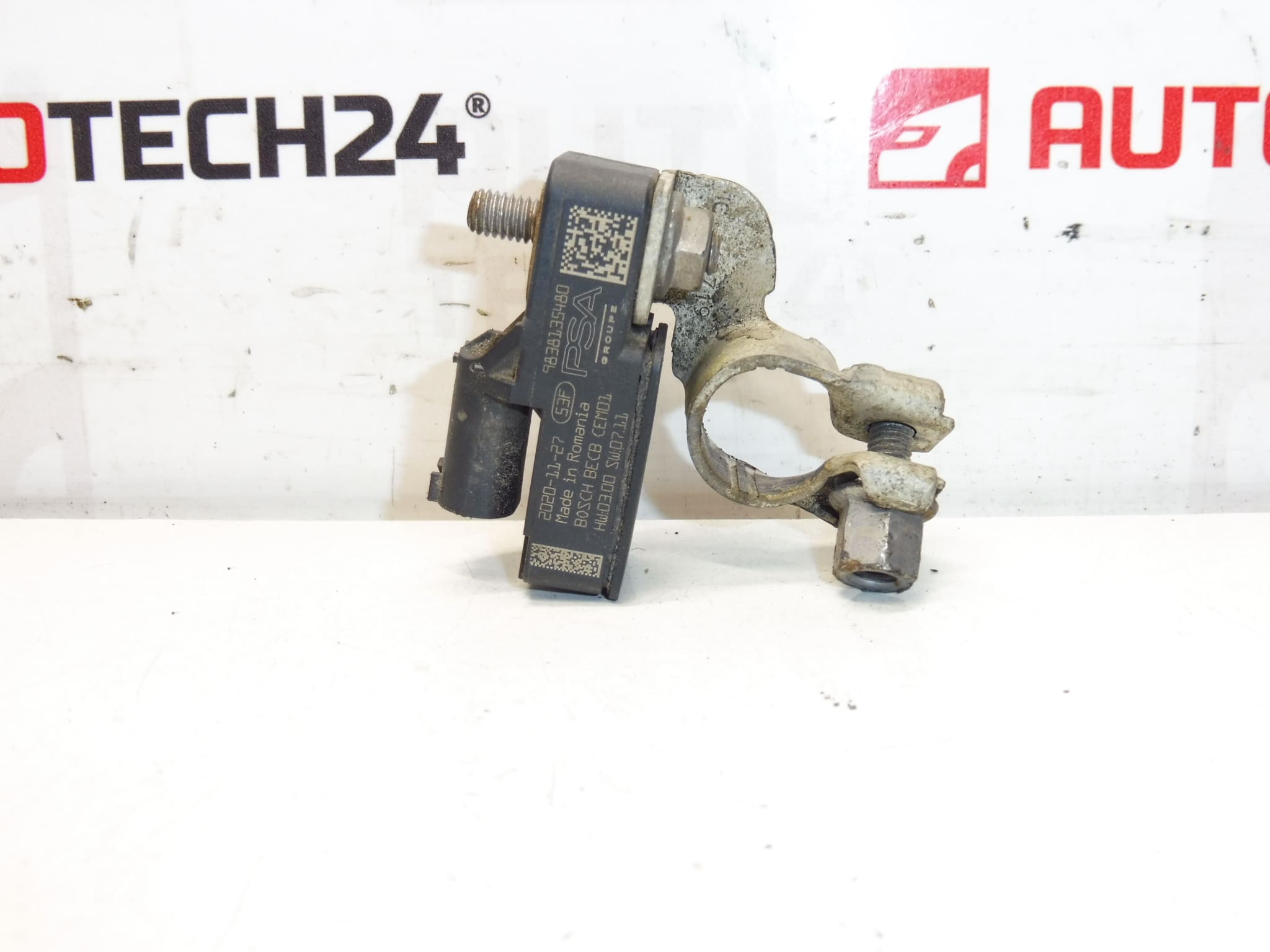 Bosch Citroën Peugeot 9838135480 batteriladdare