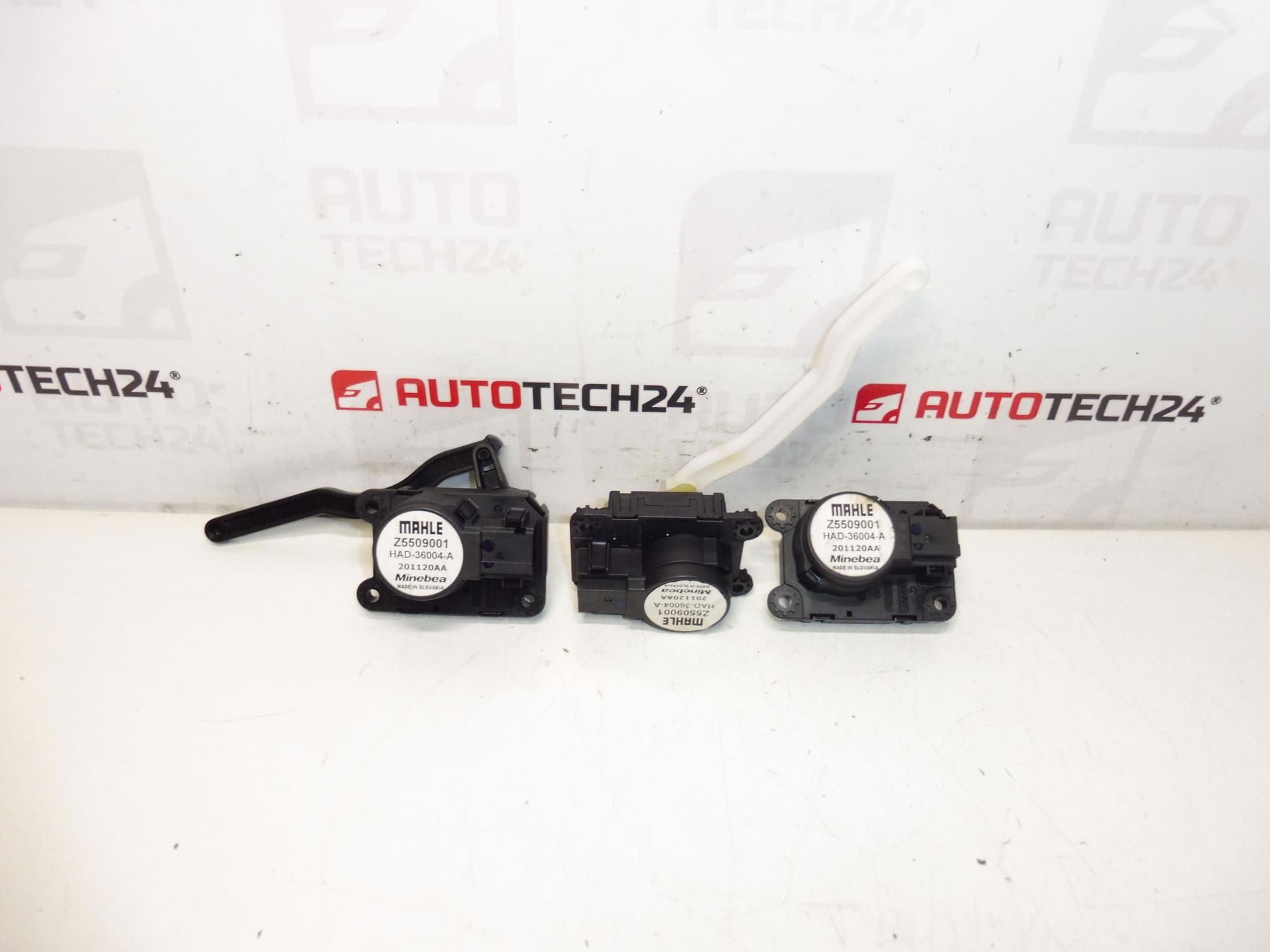 Servo Mahle Citroën Peugeot Z5509001 1610496880