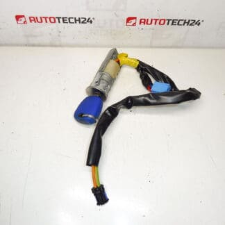 Switchbox Peugeot 206 1 nyckel 4162Z1