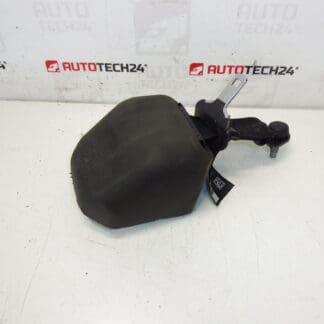 Bakre säkerhetsbälte Citroen C3 II A51 DS3 98019948XX