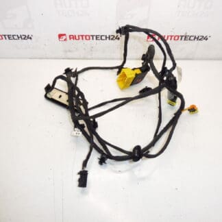 Citroen C4 Picasso passagerarstolssele 6505V8