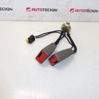 Säkerhetsbälteslås Citroën C5 II 8974W8
