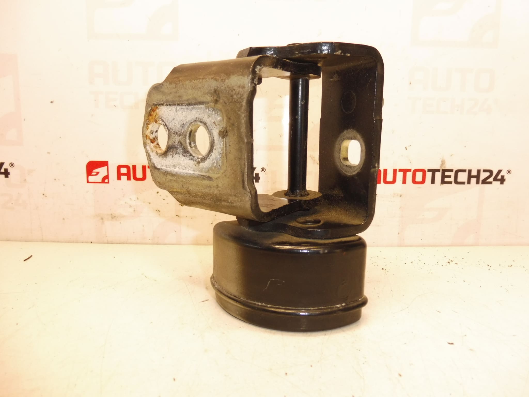 höger gångjärn framdörr EXLD Peugeot 207 9035T4