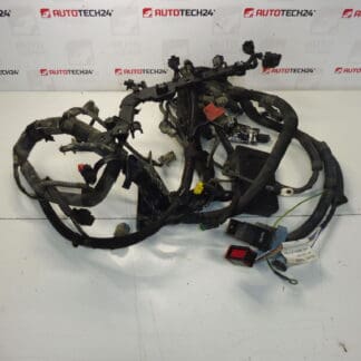 Huvudmotorenhet Citroën Peugeot 1.6 HDI 9687146480 658535