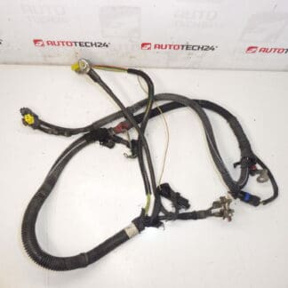 Sele positiv Citroën Peugeot 2.0HDI 9658054180 5642LP